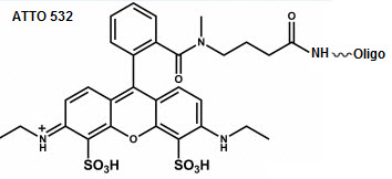 Bio-Synthesis Inc. Oligo Structure